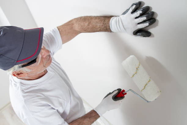 Best Biohazard Mold Removal  in Bethel, OH