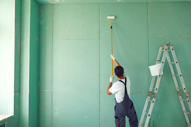 Best Mold Odor Removal Services  in Bethel, OH
