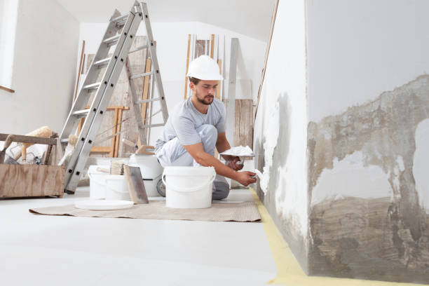 Best Mold Prevention Services  in Bethel, OH