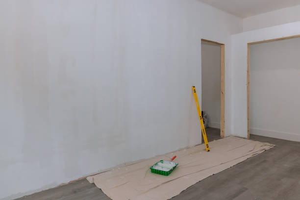 Best Black Mold Removal  in Bethel, OH